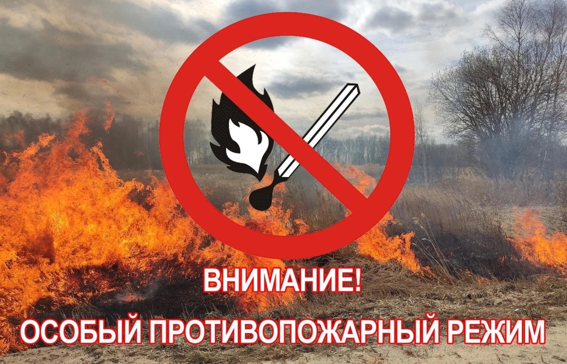 В Шегарском районе вводится особый противопожарный режим.